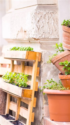 18K views · 173 reactions | What is the most interesting container you've seen a plant spring up from - intentionally or otherwise?  Get your creative gardening on with our new Container Gardener's Handbook! Find it at Almanac.com/CGH | The Old Farmers Almanac | Facebook