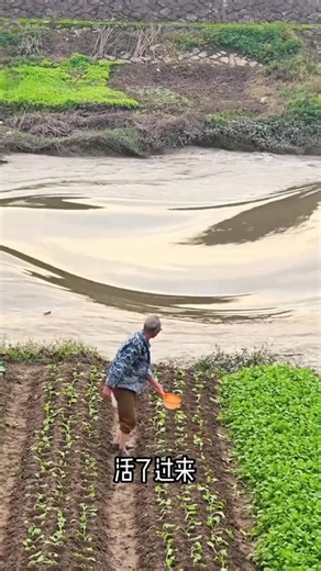 Spring Spring on Reels