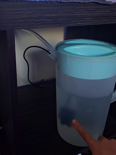 Creating a Stunning DIY Saltwater Aquarium Design