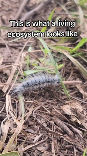 This is what a living ecosystem looks like...
