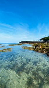 Let’s our island’s crystal-clear waters work their magic 💙 There’s nothing quite like the Jersey sea breeze and the soothing sound of waves to lift your spirit and rejuvenate your soul 🌅🌊 #Whereseameetssoul #Island #Soulful #ocean #oceantherapy #thegreatoutdoors #Jersey #Beautifuldestinations #sea #seaside #lovenature #travel #traveldestinations #Visitjersey #Jerseyci #visit | Visit Jersey