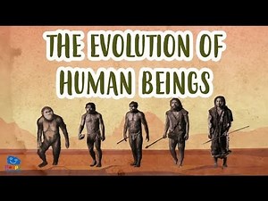 "The Fascinating Story of Human Evolution: How Did Humans Come to Earth?"