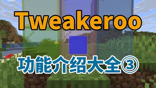 不止是辅助模组 还是优化模组-tweakeroo禁用功能介绍