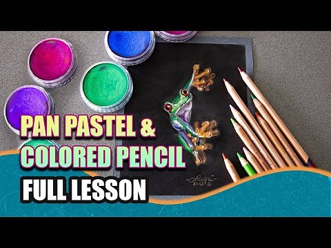 Full Art Lesson! Drawing a Red Eyed Tree Frog w/ Pan Pastels & Colored Pencil
