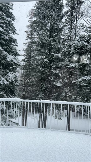 I really love that mother nature is really getting on board with the white out theme. That’s so nice of her to help add to the ambiance of this playoff series. GO CATS GO!! @Prince George Cougars #makeupmandy #playoffs2026 #whl #hockey #righthererightnow @whl hockey