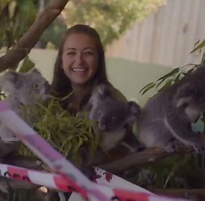 106K views · 634 shares | Now, this is the kind of Halloween party we want to be invited to!  Maddie & Kev, a couple of Symbio Wildlife Park's resident koala joeys, have celebrated their first-ever Halloween with this spooky little bash and we're feeling all sorts of FOMO  You can meet this fluffy pair for yourself at this popular wildlife haven in Visit NSW, located just a few minutes from Visit Wollongong's lovely Stanmore Park Beach. | Australia.com | Facebook