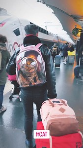 Roman Roses on Reels