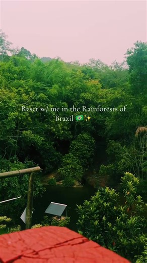 Experience the Beauty of Brazil's Rainforests