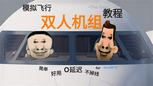 模拟飞行最好用的双人机组:CL650教程