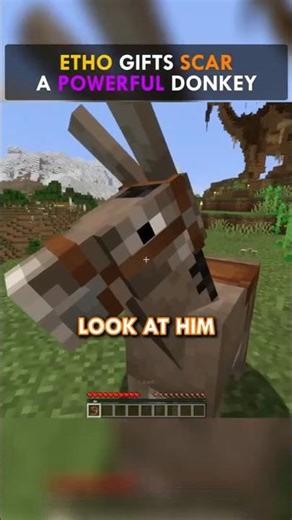 Etho GIFTS Scar A POWERFUL Donkey