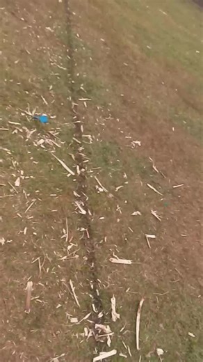 Poullart Des Places SS Nyamira (@poullart.des.plac)’s videos with original sound - Poullart Des Places SS Nyamira