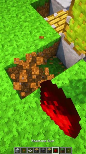 Minecraft Block Swapper 💀