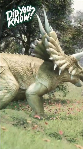 Dinosaur Facts | Triceratops | Dinosaurs kids | Learn about dinosaurs #triceratops #dinosaurfacts