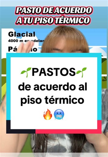 🌱Tipos de pastos🌱 de acuerdo al piso térmico 🔥🥶 #agropecuario #pastos #agricultura #ganaderia #vacas | Ing. Jeraldyn García Arévalo