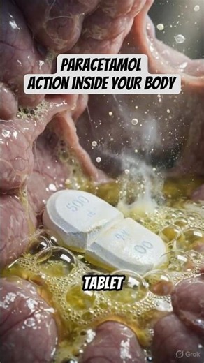 What Happens Inside Your Body After Taking Paracetamol?