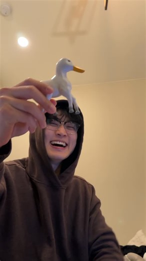 Eugene Nam on Instagram: "Horse duck!"
