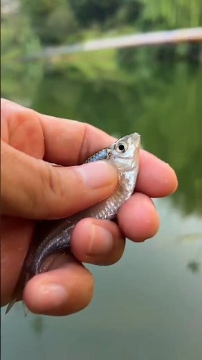 Best fishing techniques for fishing hunting tricks!