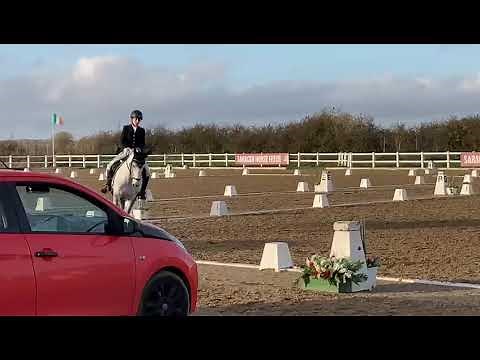 Novice 28 Dressage Test BD Quest National Finals October 2022 70% 1st Place