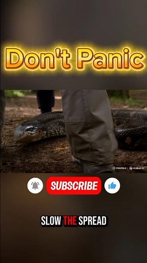 What To Do If A Snake Bites You 🐍⚠️
