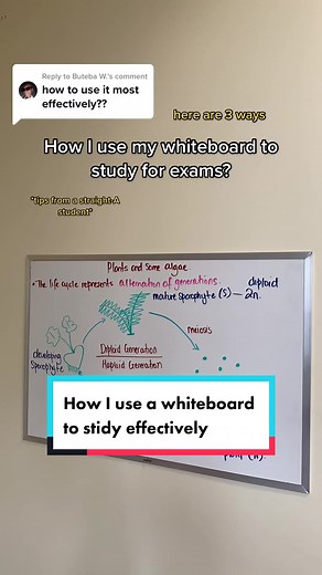 Effective Whiteboard Study Methods: Tips and Tricks