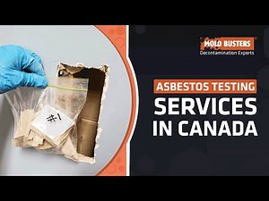 Asbestos Testing Services in Canada - Mold Busters