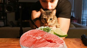 Do you cook for your cat?