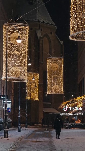 Let it snow, let it snow, let it snow in Vienna 🌨️ Snowflakes falling over Vienna as the city glows with its pre-Christmas lights 🎄🤍 Soft, calm streets and a gentle winter mood all around. Come visit Vienna 🤗 All content © @vienna_visitas All rights reserved #vienna #snow #winter #christmas #firstsnowfall