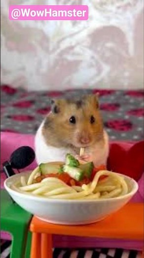 Hamsters Eating Food 😍🐹 So Cute & Satisfying to Watch! #shorts