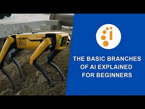 The Basic Branches of AI Explained for Beginners
