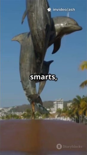 The REAL reason why sharks are afraid of DOLPHINES 🦈🐬🦈🐬 #animalshorts #sea #shark #dolphin #cute