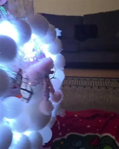 Lamont Farm Project on Reels