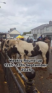 Weekly Round-up 12th - 17th September 2025 The Banagher Horse fair #jjhoughs ##jjhoughssingingpub #houghs #Banagher #Offaly #Ireland #horseriding #horsefair @midlandhottubs | JJ Houghs Singing Pub