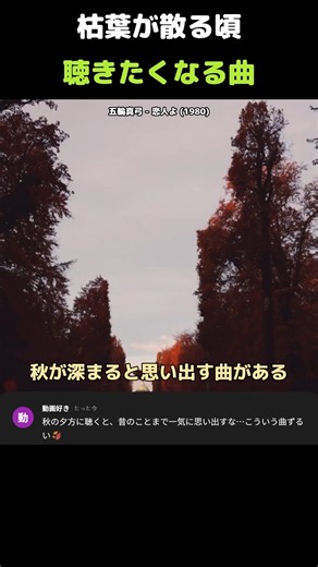 枯葉が散る季節に心に響く永遠の秋の名曲 五輪真弓 恋人よ