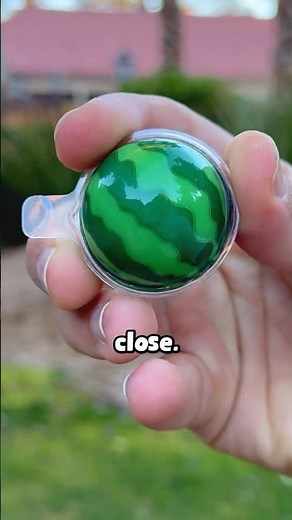 what a mini watermelon looks like