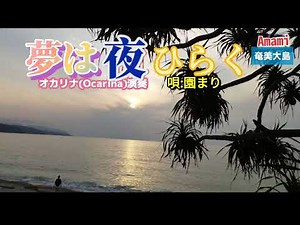 夢は夜ひらく·園まり·歌詞付·753曲目·オカリナハイビスOcarina Hibi‘s