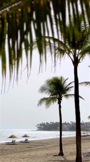 In the heart of Cabarete, right on the golden beach, Villa Taina blends comfort and style in a unique setting. Enjoy cozy rooms, international cuisine at Serenade, and the magic of waking up by the sea every day. Villa Taina — your Cabarete experience. | Villa Taina Hotel