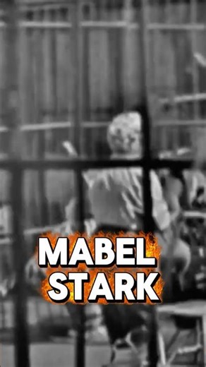 Mabel Stark First Female Tiger Trainer #shorts