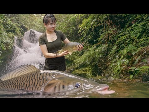 Living Off the Grid in the Forest | Fishing Video Caught More Than 1000 Big Fish in the Forest
