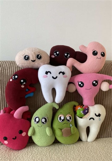 Handmade human organ plushies — kidney, bladder, brain, uterus, heart, stomach & tooth 🧵✨ Each plush is 100% handmade, and I can create one just for you 💕 Perfect for med students, anatomy lovers, or anyone who loves unique gifts 🎁 👉 Buy yours via the link in my bio Custom orders available 😌🪡 #fyp #foryou #anatomy #plushies #viral