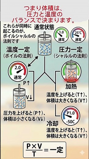 ボイルシャルル 相関図