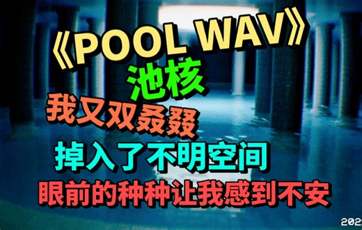 我又双叒叕掉入了不明空间，里面发生的种种让我感到不安POOL.wav池核游戏实况
