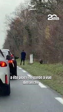 À Châteauroux, un chasseur tire à bout portant sur un sanglier au bord d’une voie fréquentée