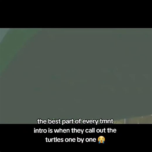 Himmy on Instagram: "It's always hype #tmnt #teenagemutantninjaturtles #tmnt2003 #tmnt2012 #tmnt1987 #riseoftheteenagemutantninjaturtles"