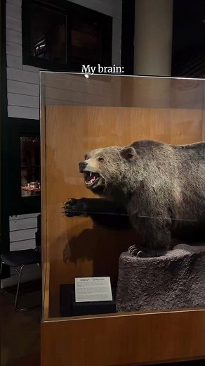 "Wow… WOW!"... Inside the Okanagan Heritage Museum