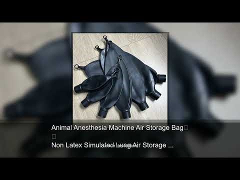 Animal Anesthesia Machine Air Storage Bag Non Latex Simulated Lung Air Storage Bag Breathing Ba
