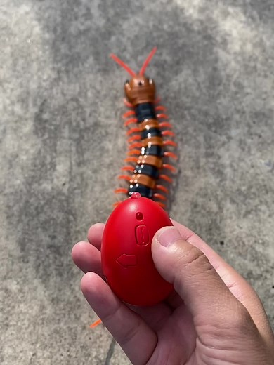 Electric Walking RC Centipede Toy Model