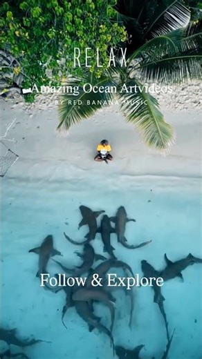 The Unseen 90% of Our Planet 🌊 | Amazing Ocean Artvideos