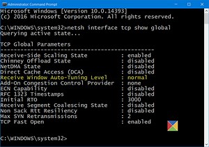 Receive Window Auto-tuning Level Registry