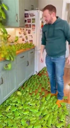 When You Enter the Pond… and a Flood of Frogs Jumps Out! 🐸 #frogs #daily #crazymoment #shorts