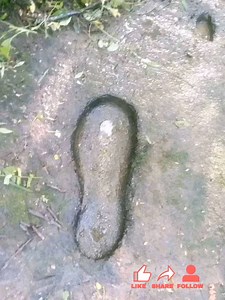 79K views · 2.2K reactions | Foot sign proper reading and decoding assessment #1 #viralreels #fypシviralシ2024 #viralpost2024 #viralvideoシ #fypシ゚ #viralpage #trend #travel #follow #viralpost | The Lost treasure | Facebook